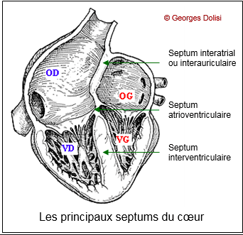 Capture d’écran 2019-01-31 à 19.41.42.png